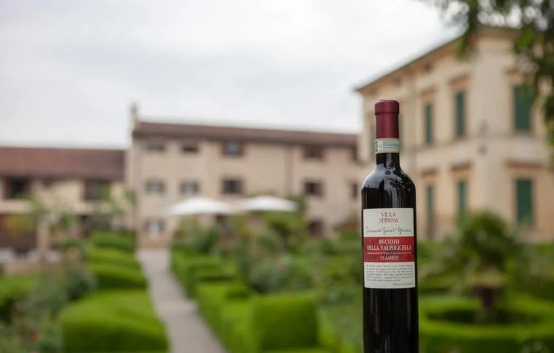 Scopri di più su spinwinera bono